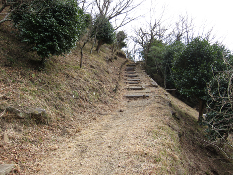 20200122hike (44)